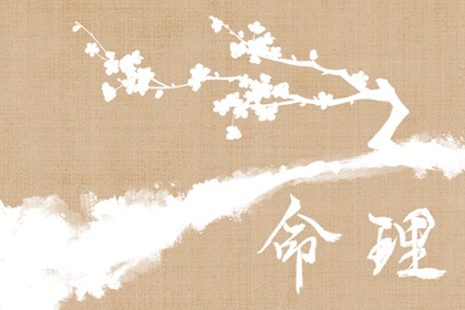 中华万年历黄历日历 择吉日黄历 2026年老黄历查询